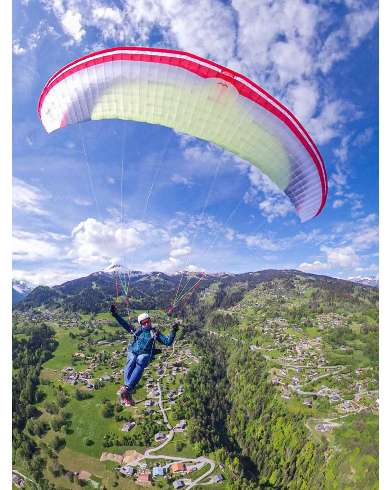 Aravis