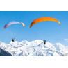 muse5-guillaume-borga-7